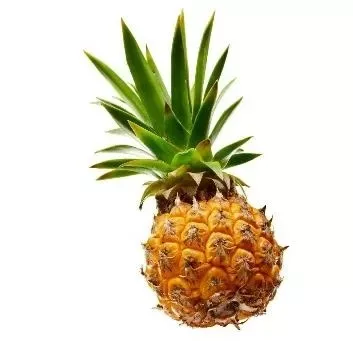 Pineapple Baby