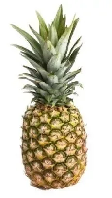 Pineapple Honey