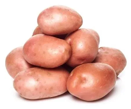 Potato Chat Red