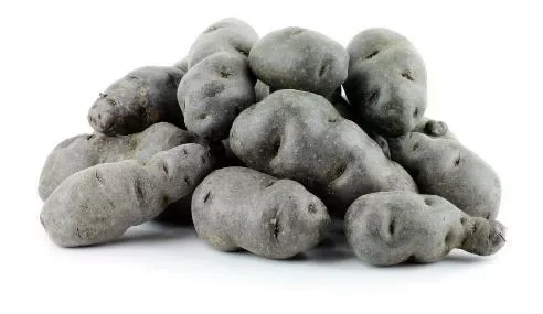 Potato Purple