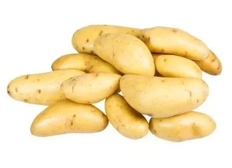 Potato Ratte