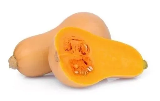 Pumpkin Butternut