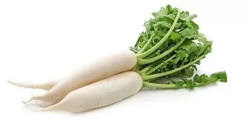 Radish White