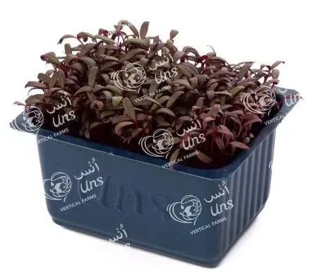 Red Amaranth Cress