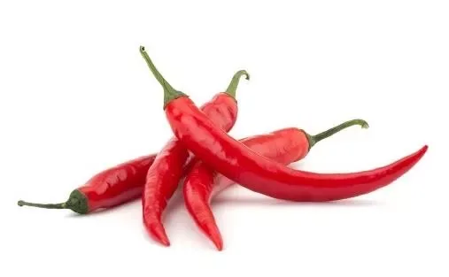 Red Chilli Holland