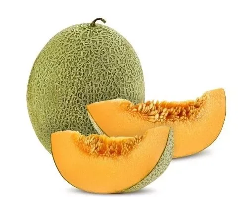 Rock Melon
