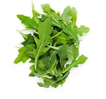 Rocket Salad
