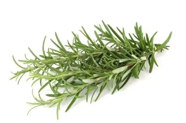 Rosemary