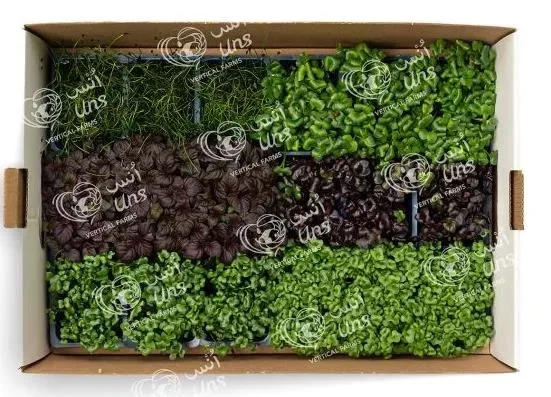 Sakura Mix Cress