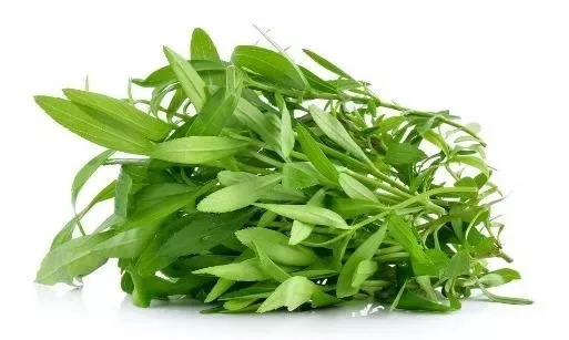 Taragon Leaves