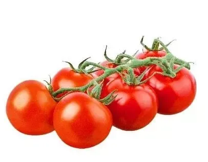 Tomato Bunch Holland
