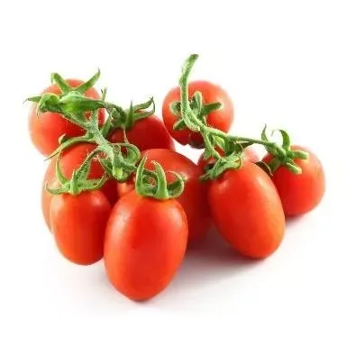 Tomato Datterino Bunch