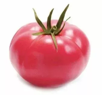Tomato Pink