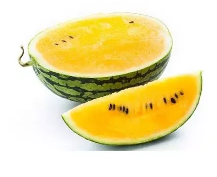 Watermelon Yellow Vietnam